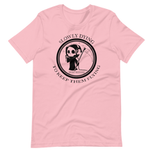 Load image into Gallery viewer, Slowly Dying To Keep Them Flying Tee