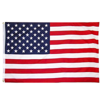 Load image into Gallery viewer, United States Flag

